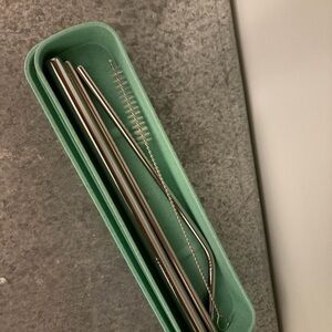 Stainless Steel Straw Set with Green Case